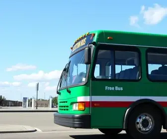 ônibus gratuito